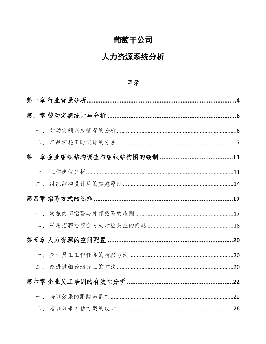 葡萄干公司人力资源系统分析_第1页