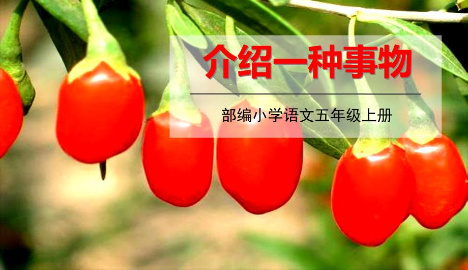 人教版五年级上册语文《第五单元 习作》教学课件_第1页