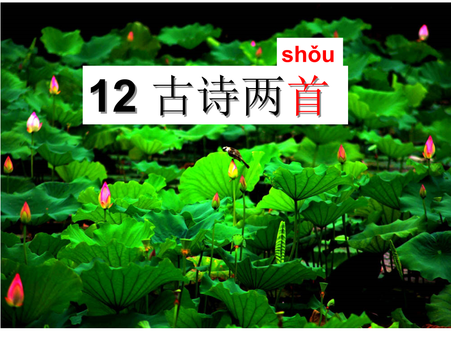 (精品)2017部编一下语文《小池》.ppt_第1页