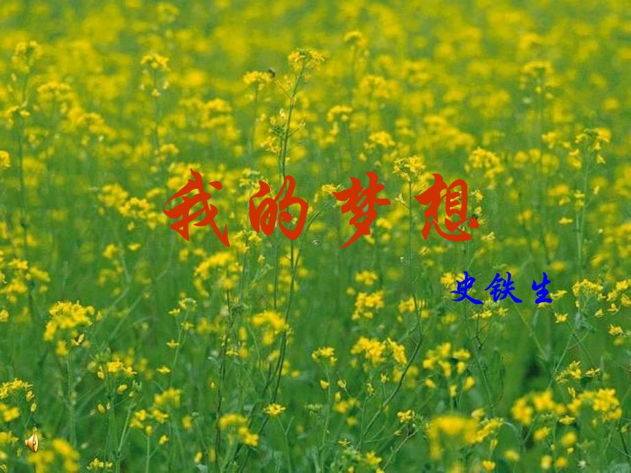 15我的梦想1_第1页