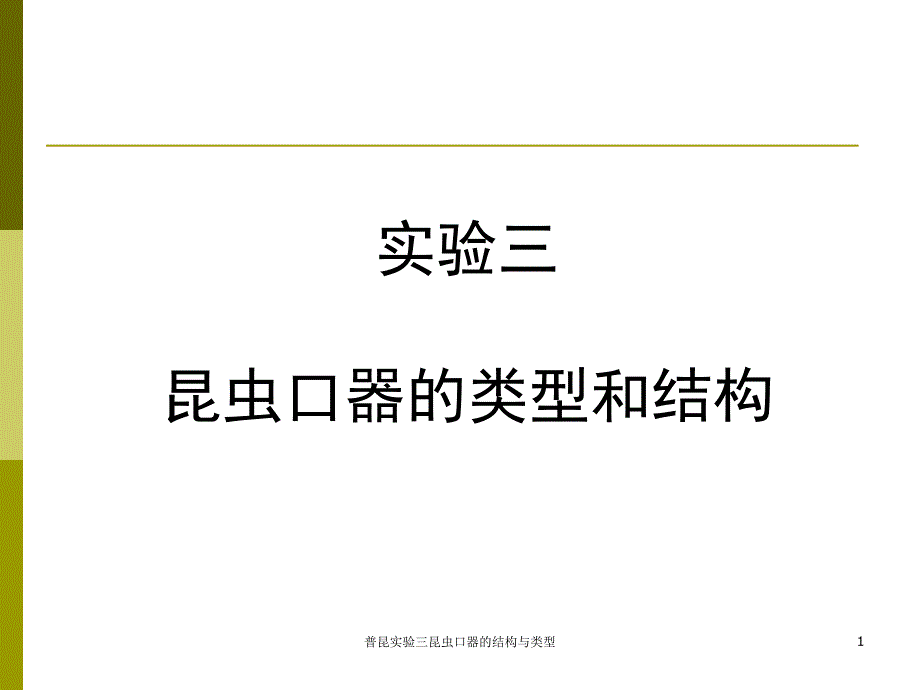 普昆实验三昆虫口器的结构与类型课件_第1页