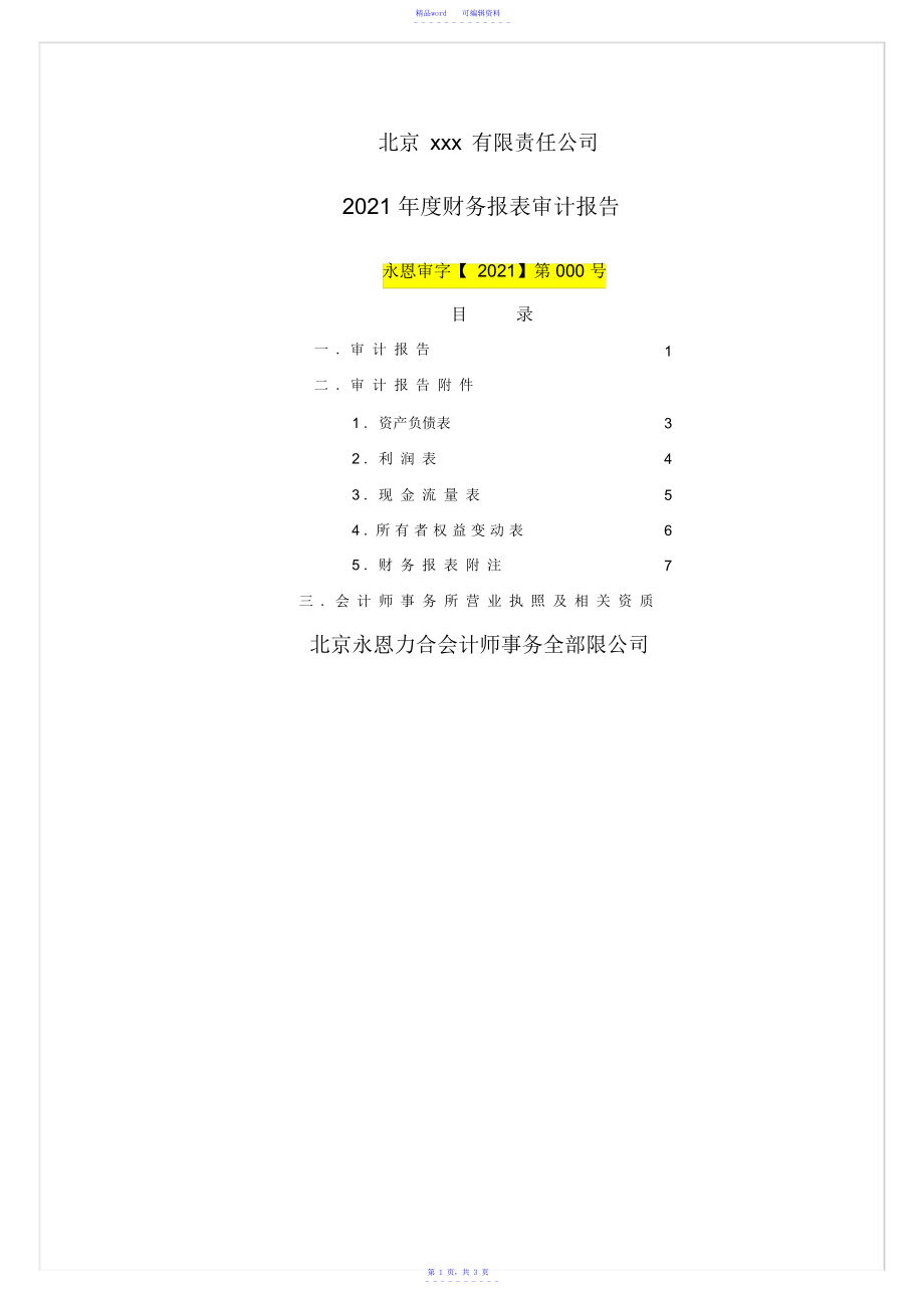 2021年标准版审计报告_第1页