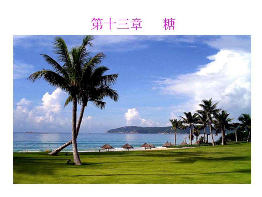 有机化学A：第十三章 糖_第1页
