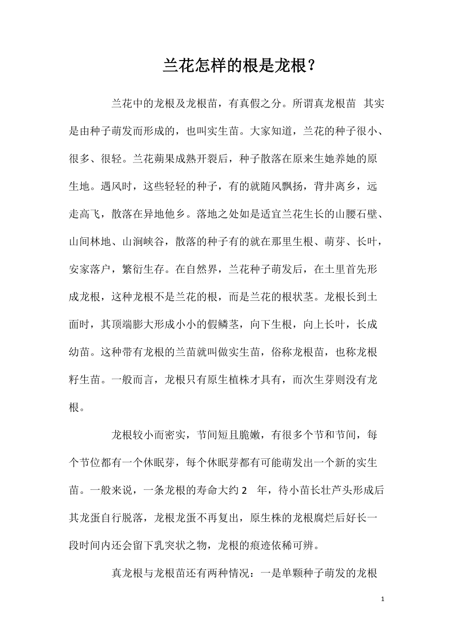 兰花怎样的根是龙根？_第1页