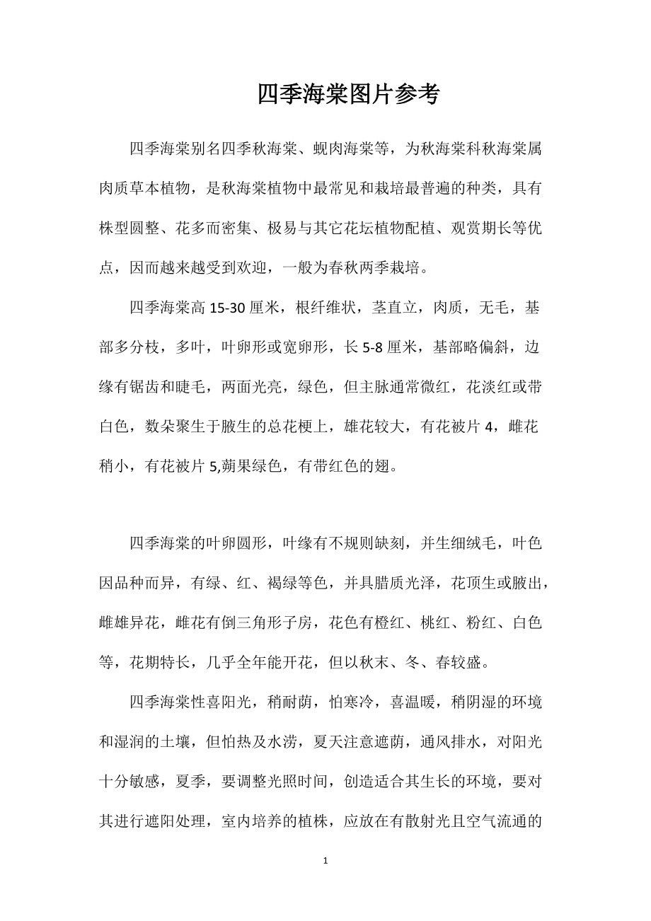 四季海棠图片参考_第1页