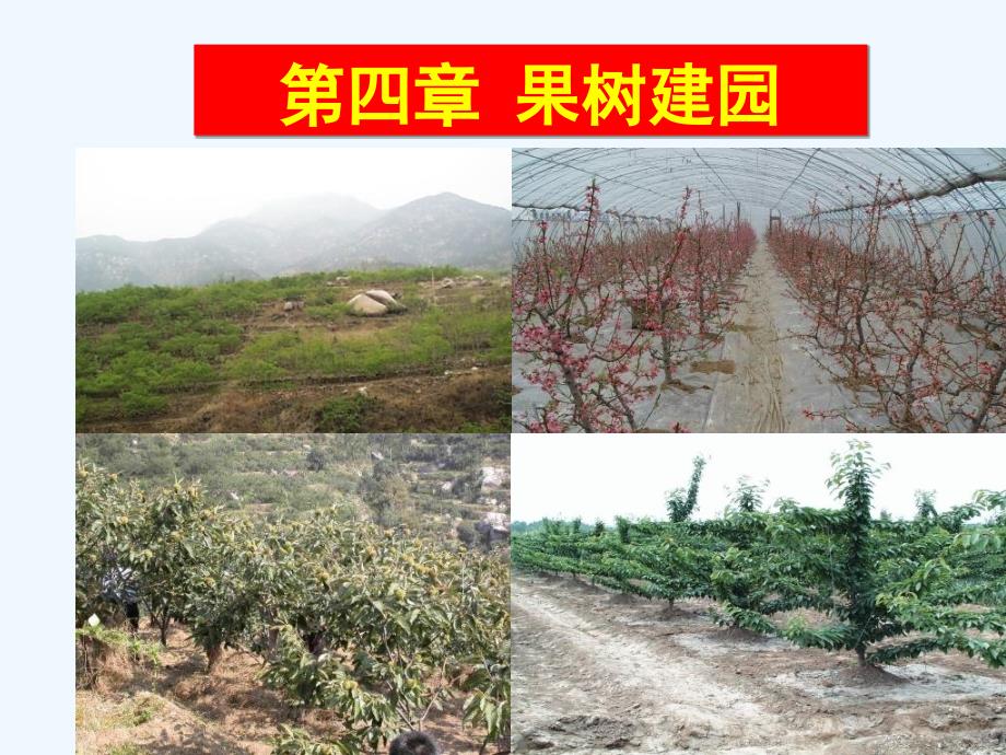 第四章果树建园_第1页
