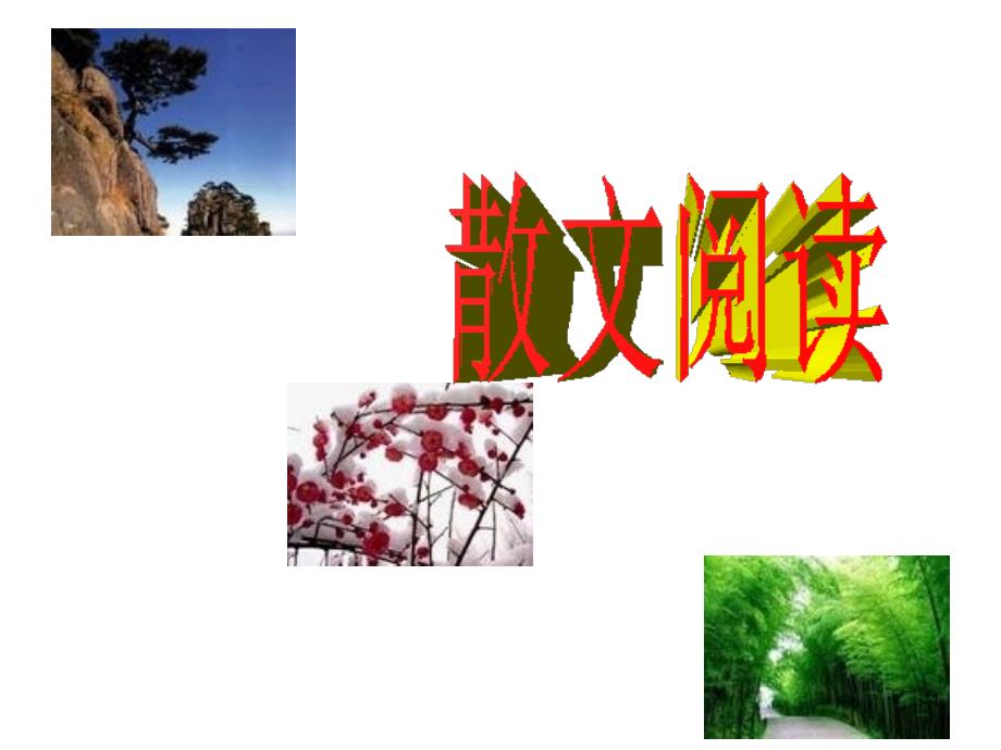 托物言志类散文阅读指导演示课件_第1页