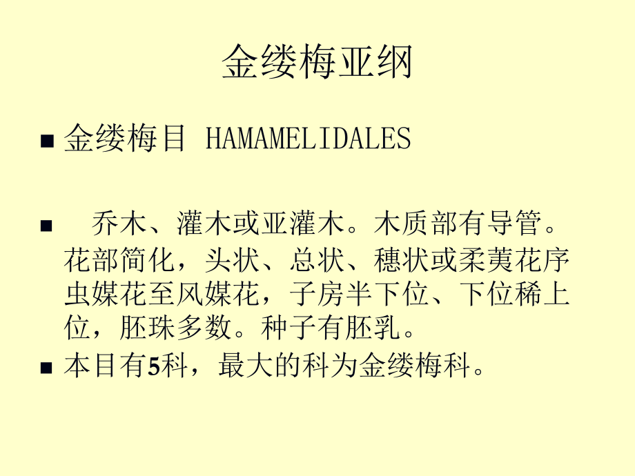 悬铃木三个品种的区别演示课件_第1页
