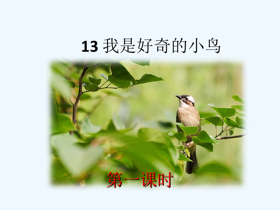 我是好奇的小鸟_第1页