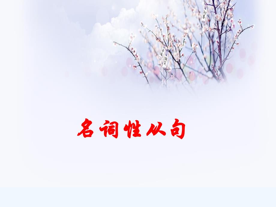 高考专题精讲--名词性从句_第1页