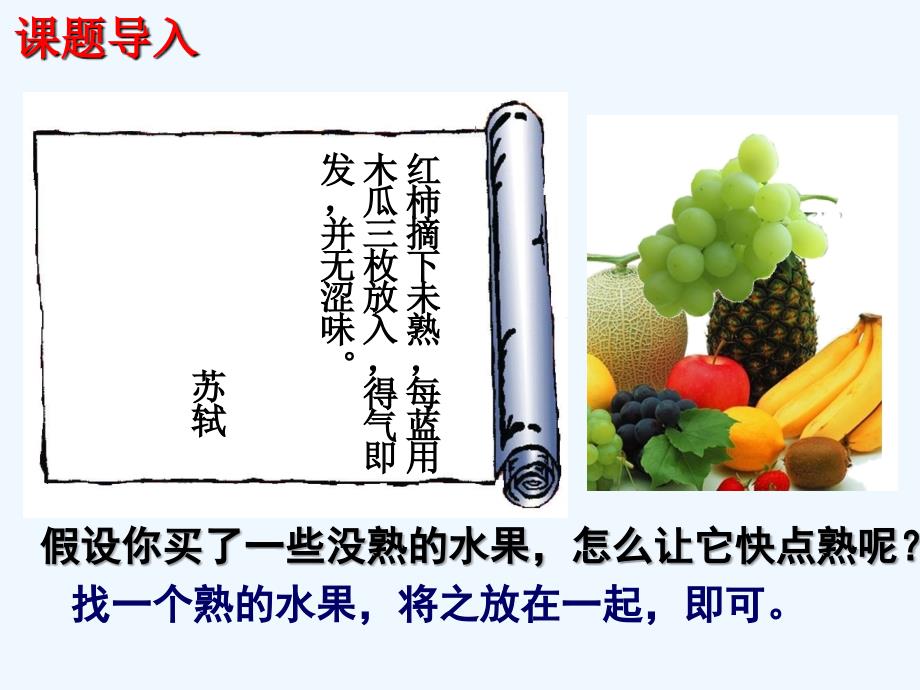 高中生物第三章植物的激素调节33其他植物激素必修3_第1页