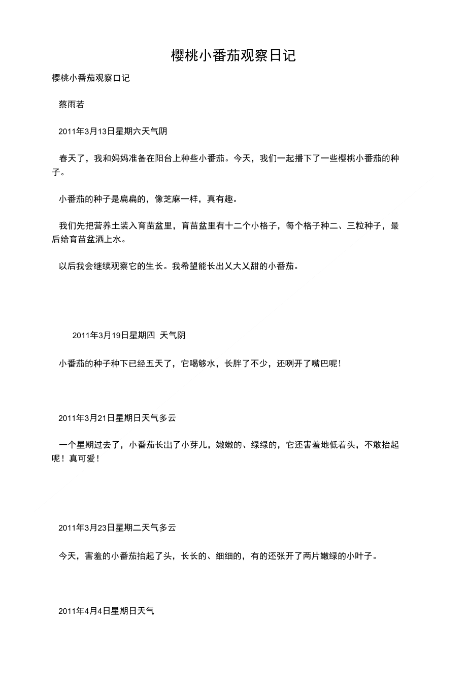 樱桃小番茄观察日记_第1页