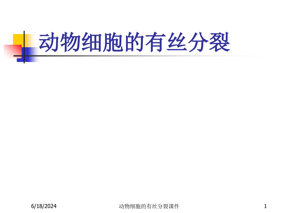 动物细胞的有丝分裂课件_第1页