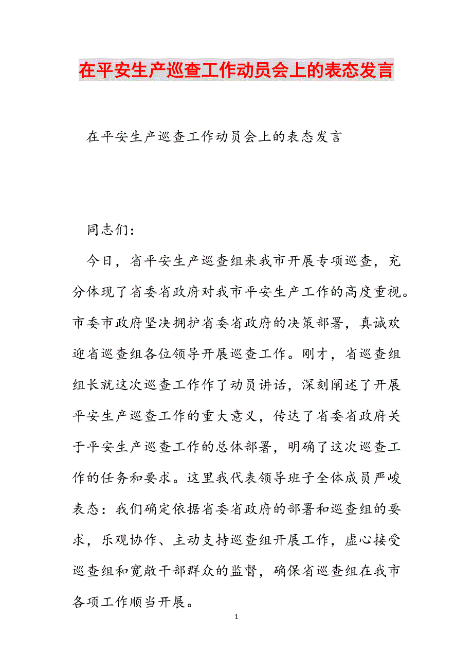 在安全生产巡查工作动员会上的表态发言范文_第1页