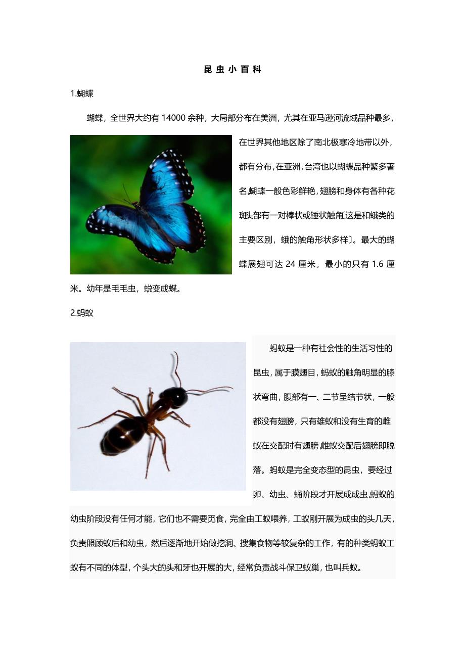 认识昆虫(名字图片)课件资料_第1页