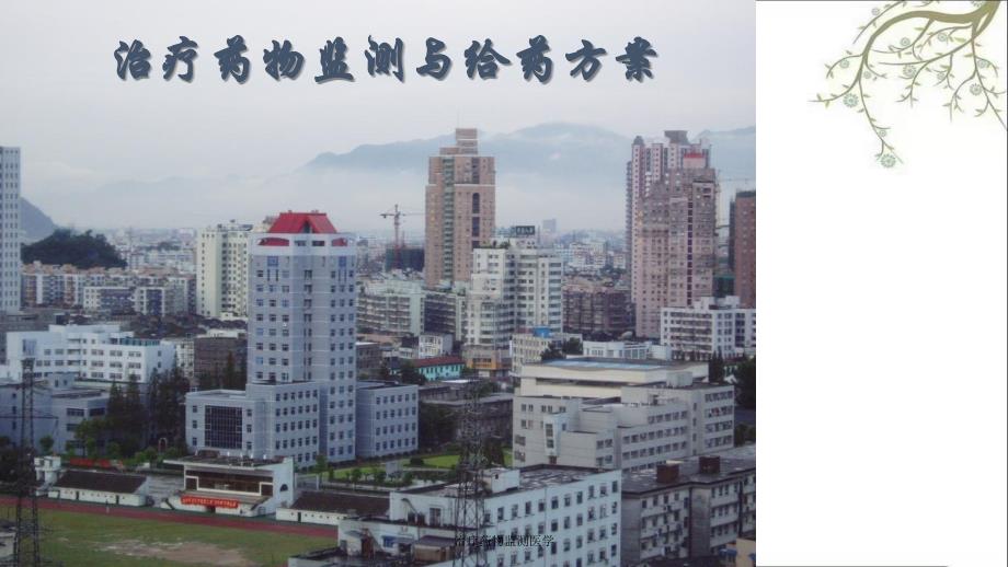 治疗药物监测医学课件_第1页