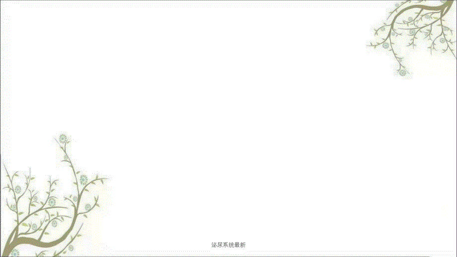 泌尿系统最新课件_第1页