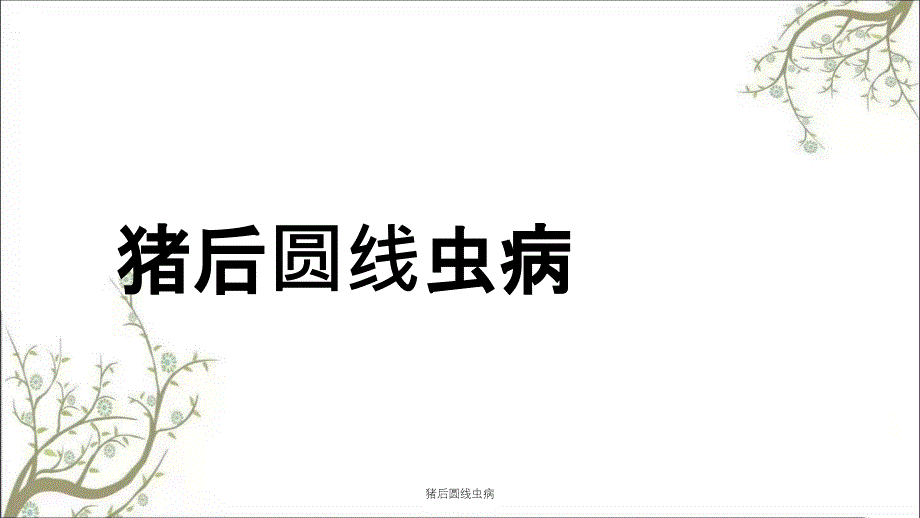 猪后圆线虫病课件_第1页