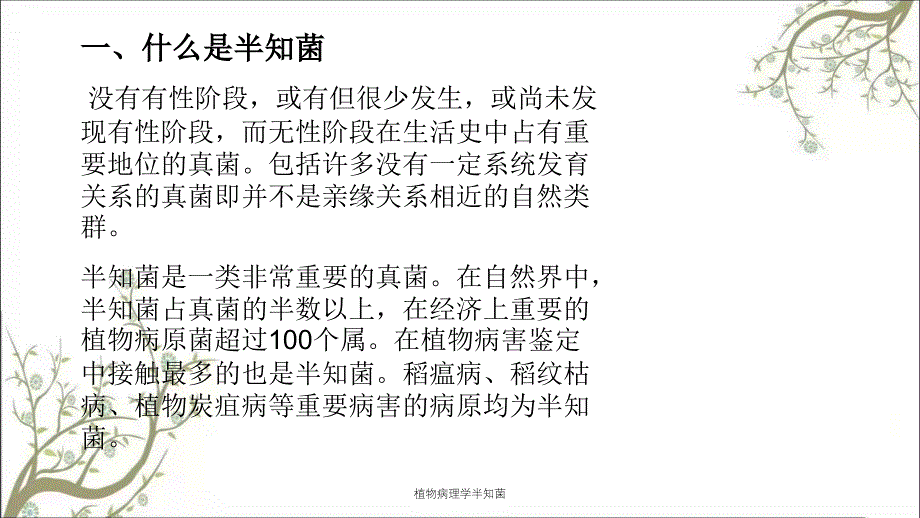植物病理学半知菌课件_第1页