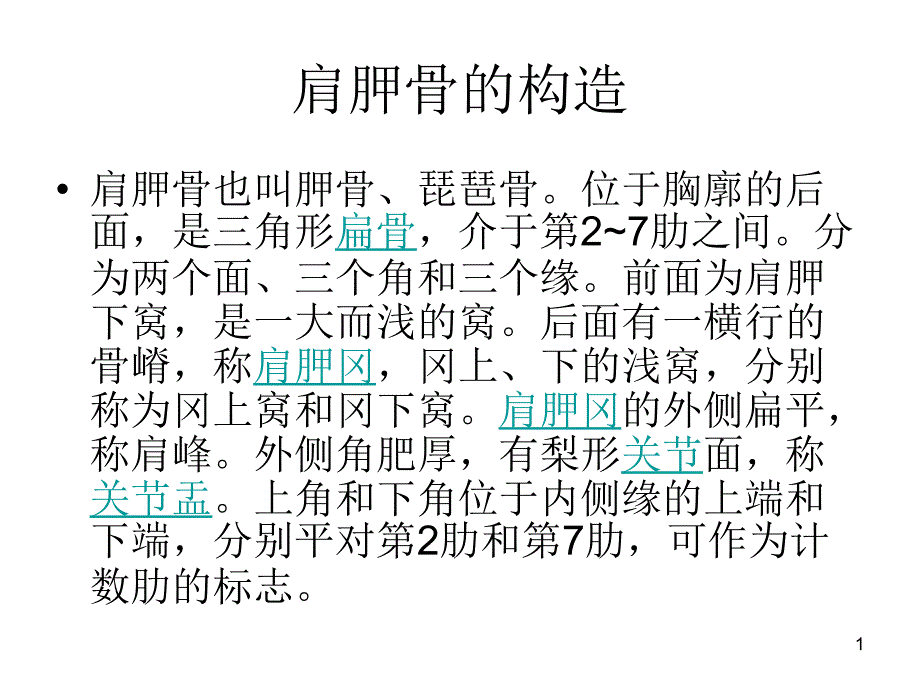 菱形肌与斜方肌参考课件_第1页