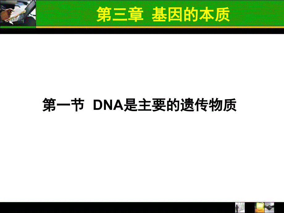 必修2复习_基因的本质_第1页