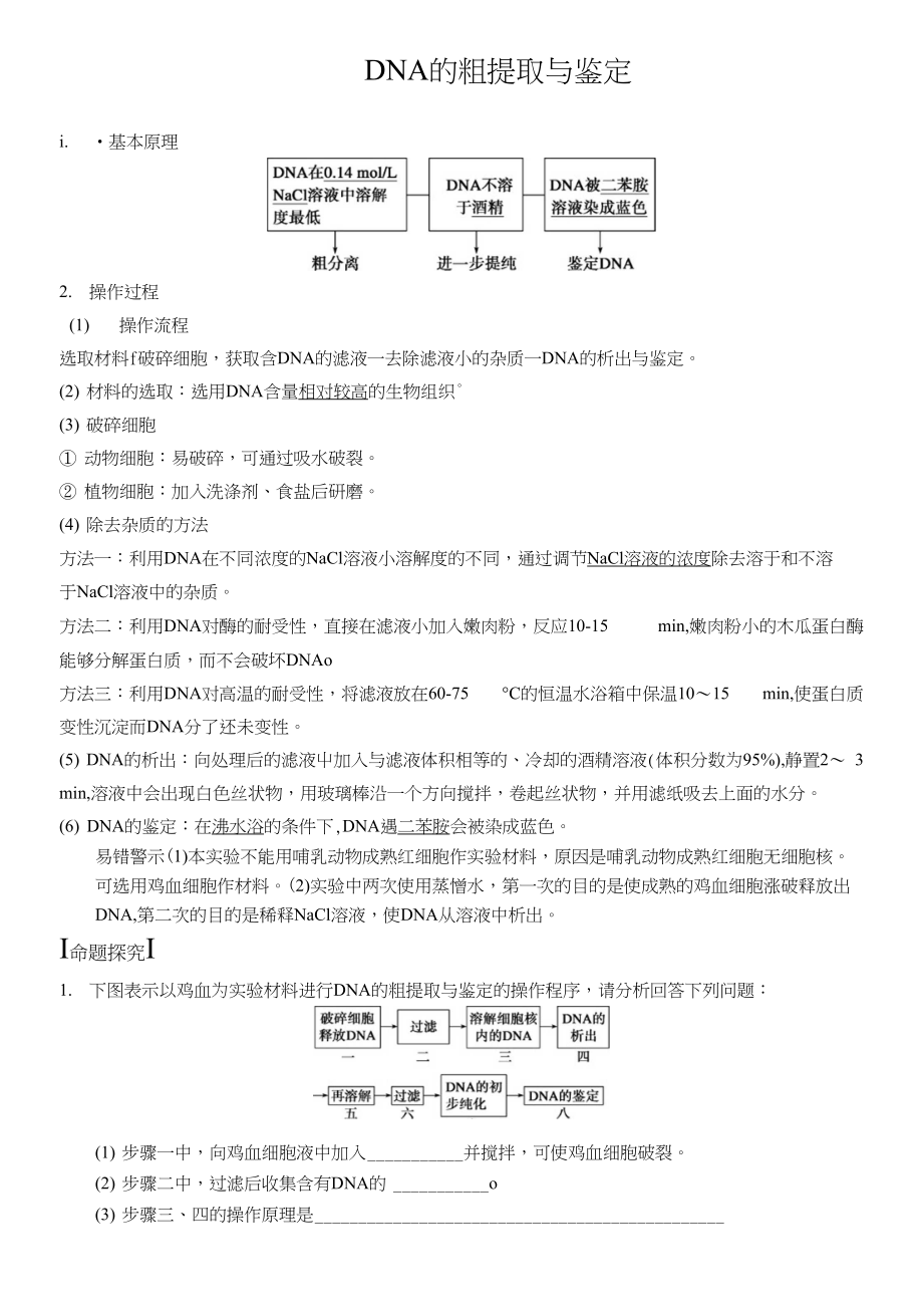 DNA粗提取和鉴定_第1页