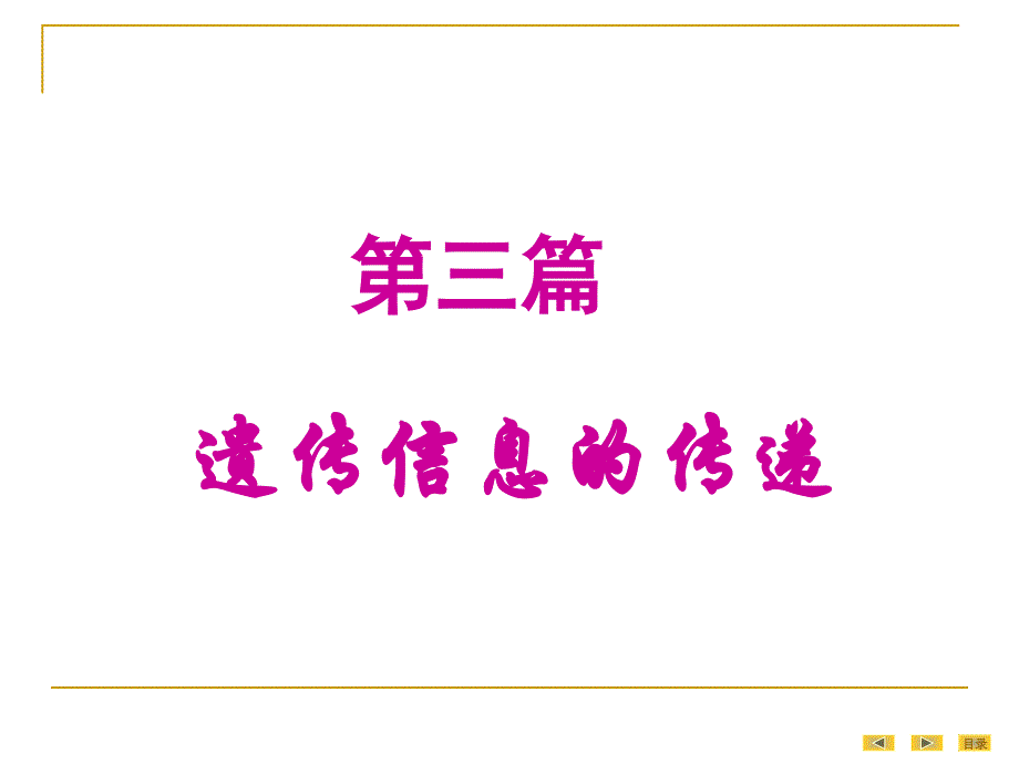生物化学：真核基因与基因组_第1页