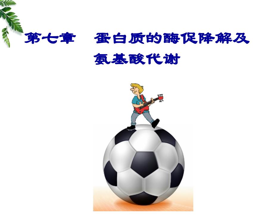 生物化学：第七章 蛋白质的酶促降解及氨基酸代谢_第1页