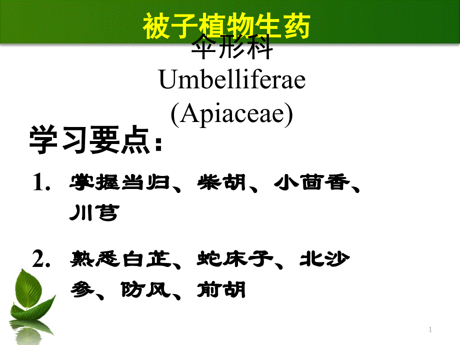 生药学：被子植物生药26伞形科_第1页