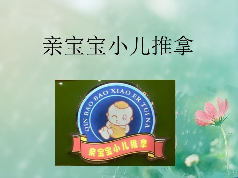 中医学资料：小儿推拿调理方案_第1页