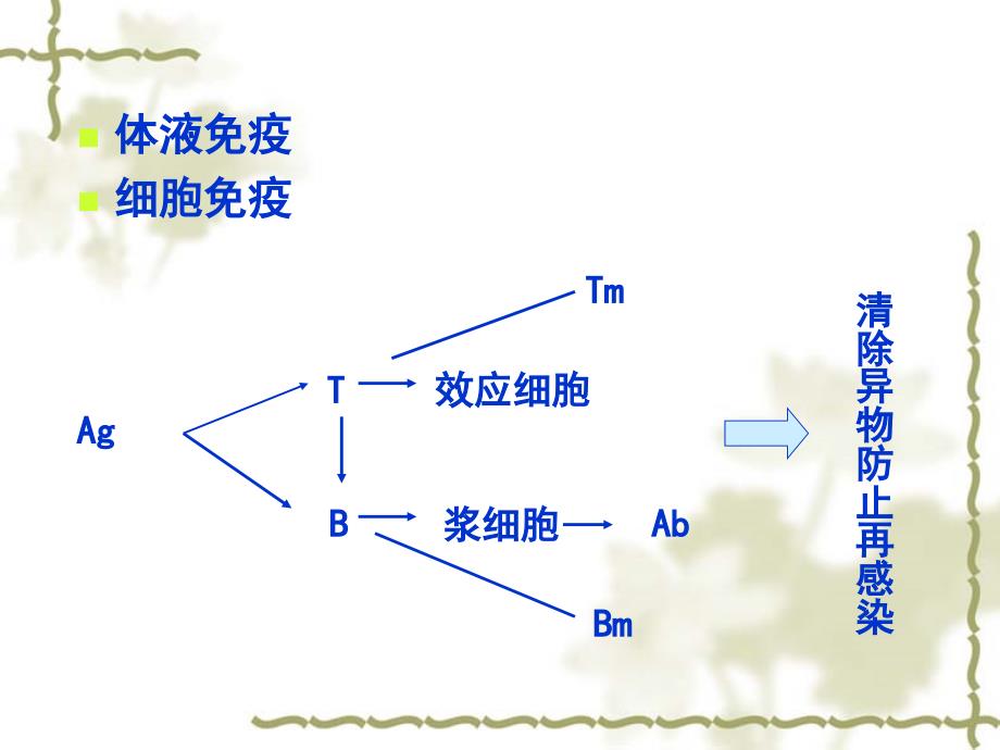 医学免疫学：第三章 抗原 (3)_第1页