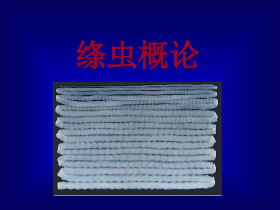 寄生虫学：绦虫概述_第1页