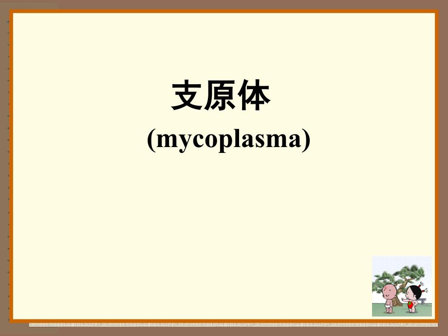 医学微生物学：29支原体与衣原体_第1页