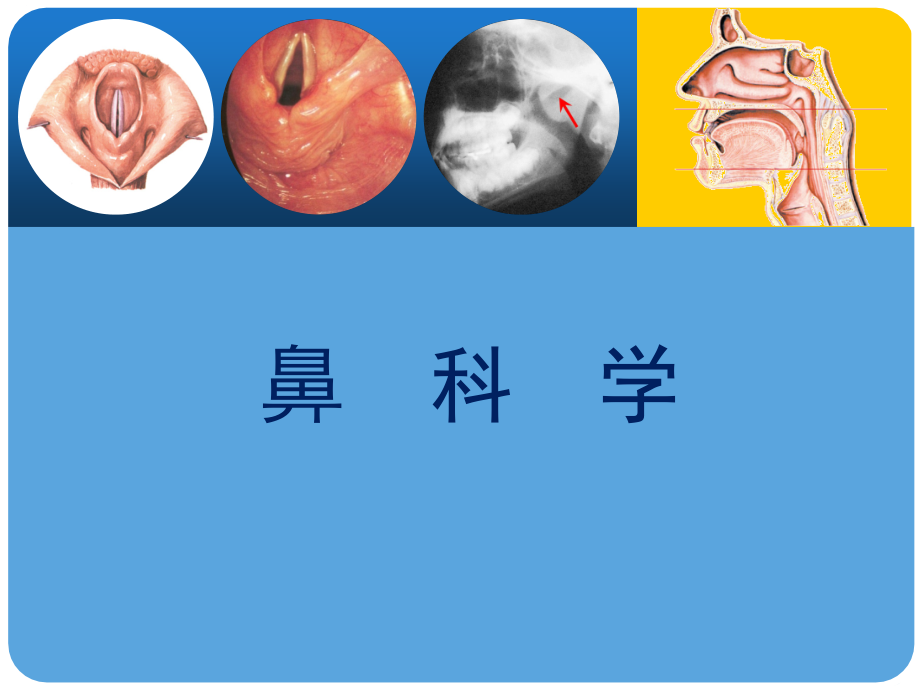 耳鼻咽喉头颈外科：鼻科学_第1页