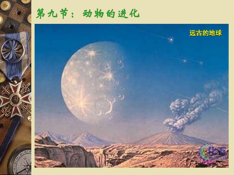 动物学教学课件：第九节：动物的进化_第1页