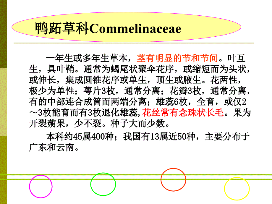 园林植物学：第四十二章 鸭跖草目-鸭跖草科、雨久花科_第1页