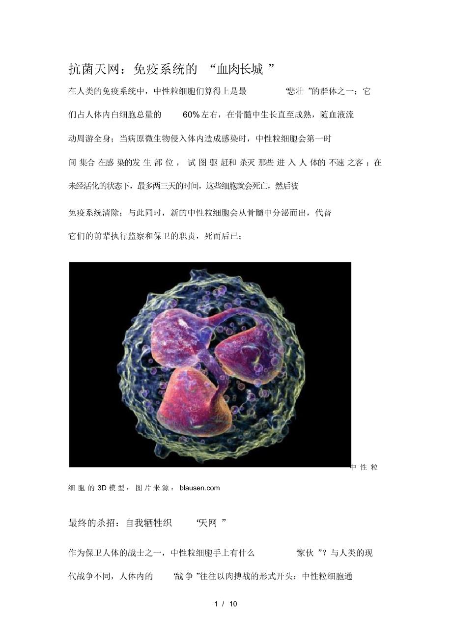 精华抗菌天网-中性粒细胞_第1页