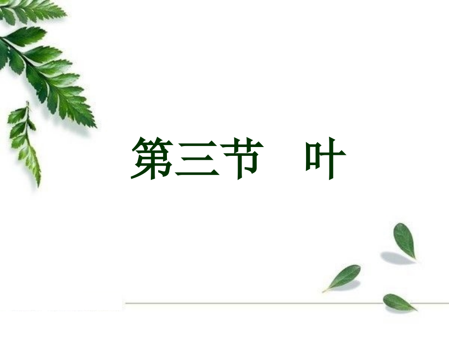 植物学：第3章 种子植物的营养器官——叶_第1页