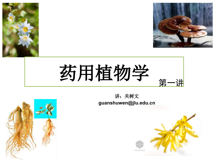 药用植物学 第一讲 绪论及植物分类学概述_第1页