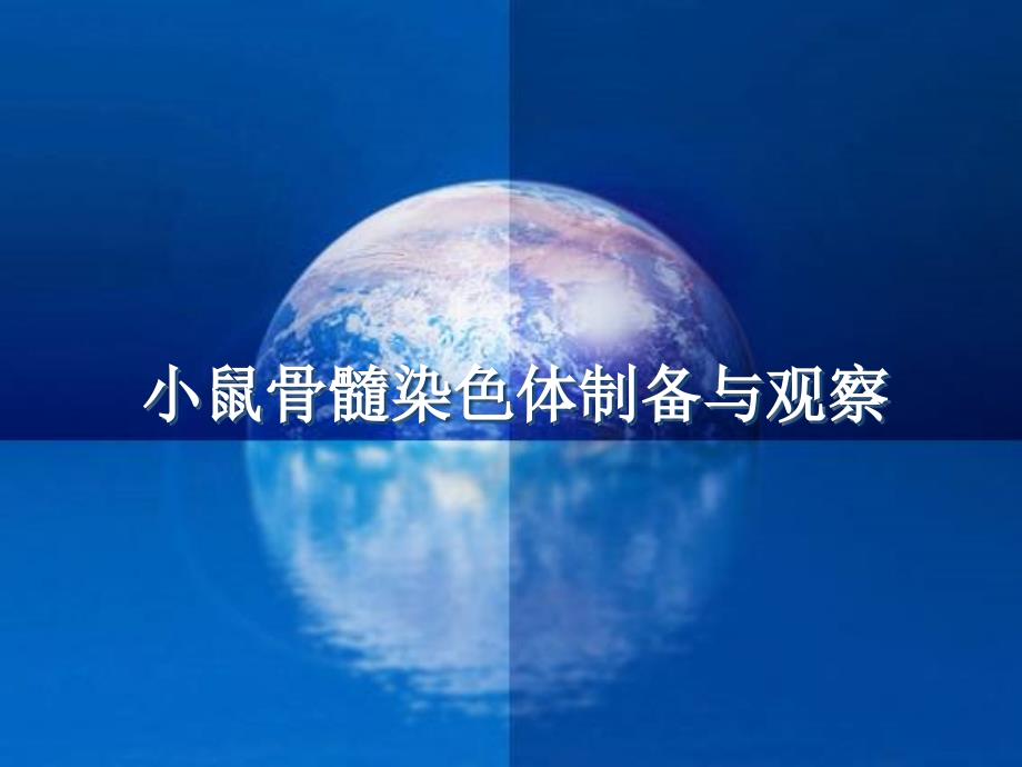 遗传实验4—小鼠骨髓染色体课前讲解_第1页