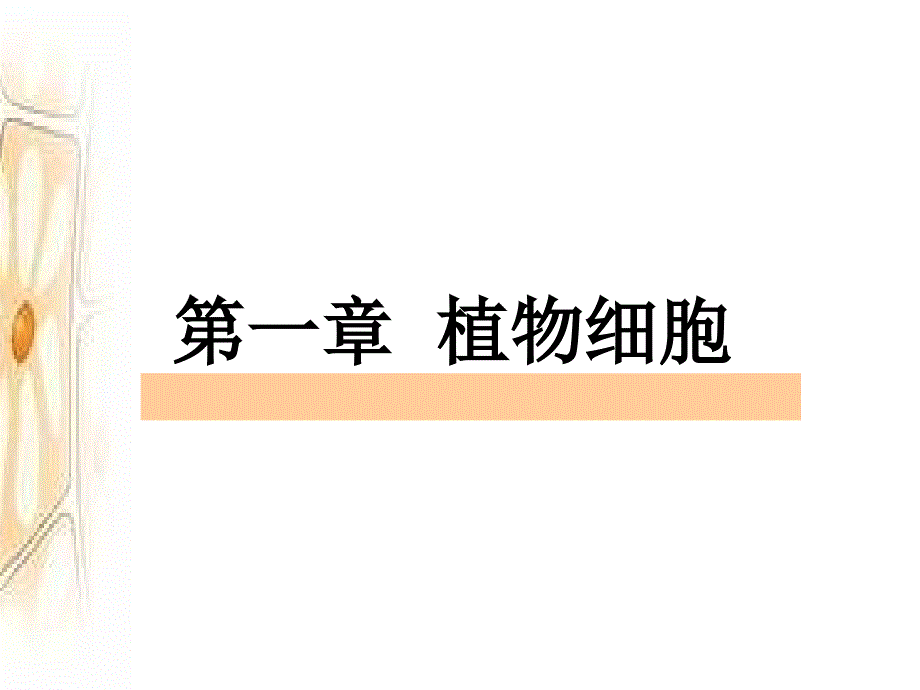 植物学：第一章植物细胞_第1页