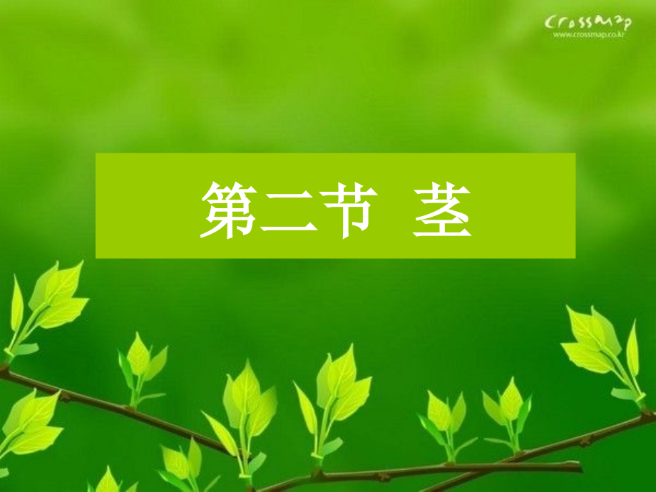 植物学：第3章 种子植物的营养器官——茎_第1页