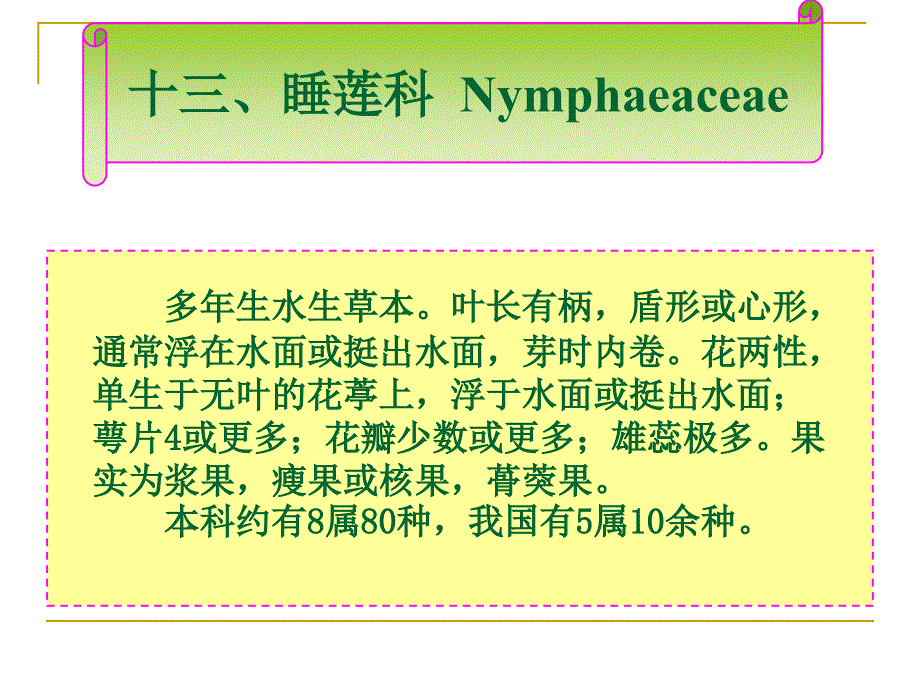 园林植物学：第十五章 木兰目--睡莲科_第1页