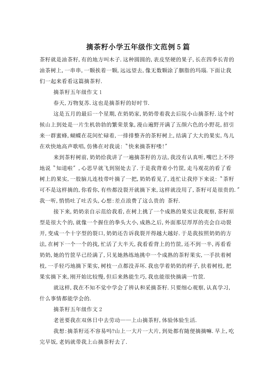 摘茶籽小学五年级作文范例5篇_第1页