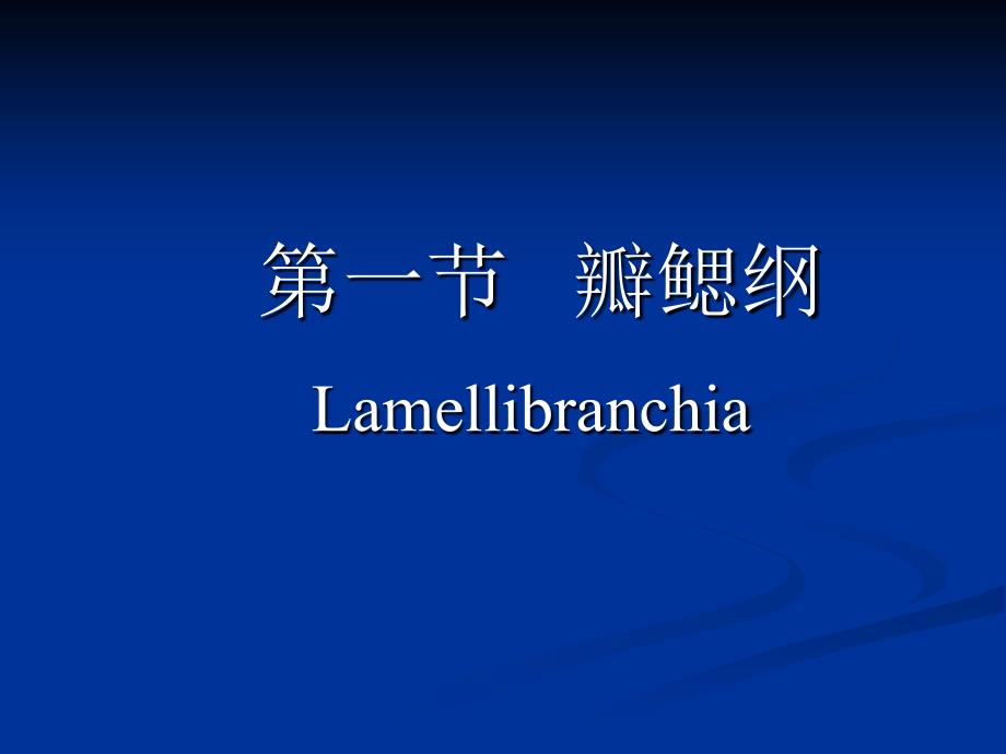 水生生物学：瓣鳃纲_第1页