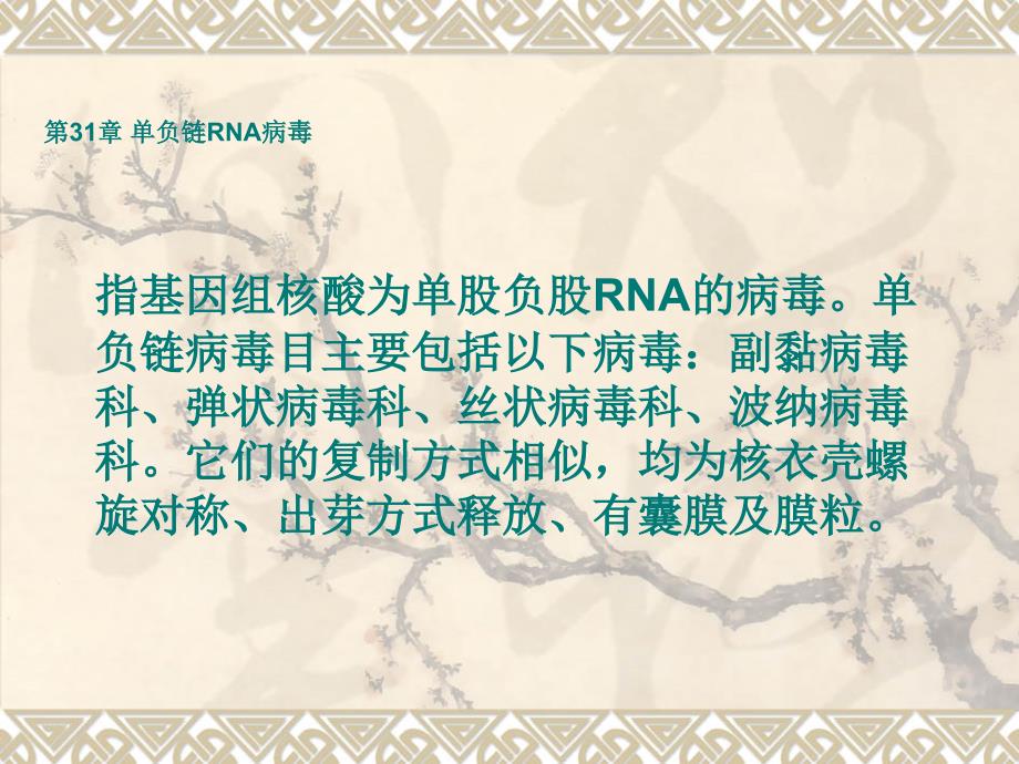 兽医微生物学：16.单负链RNA病毒2_第1页