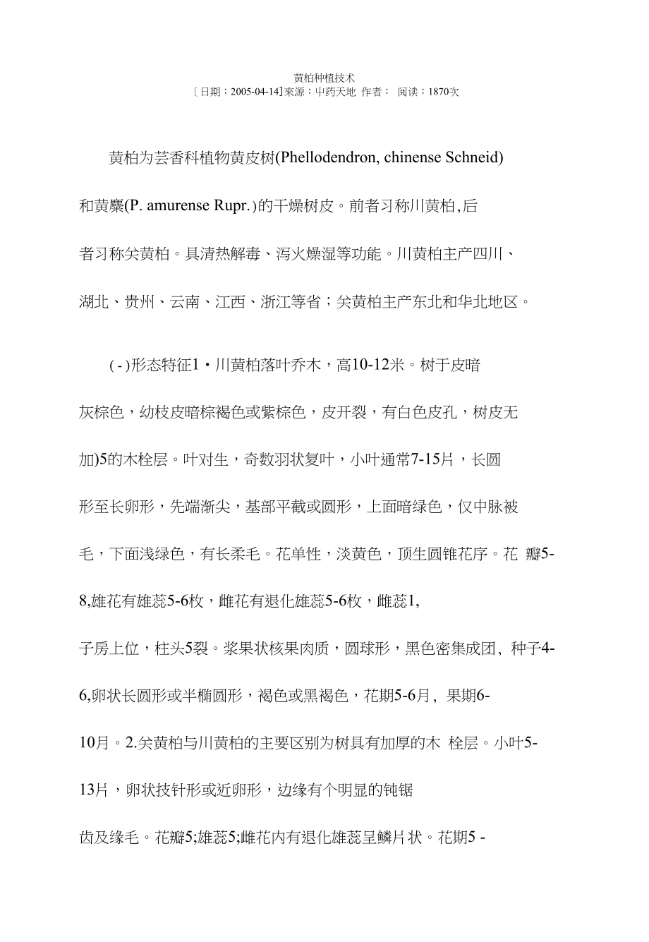 黄柏种植技术_第1页