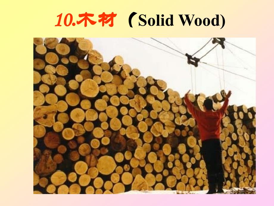 土木工程材料 第十章 木材_第1页