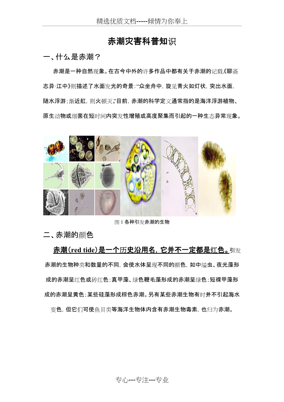 赤潮灾害科普知识(共4页)_第1页