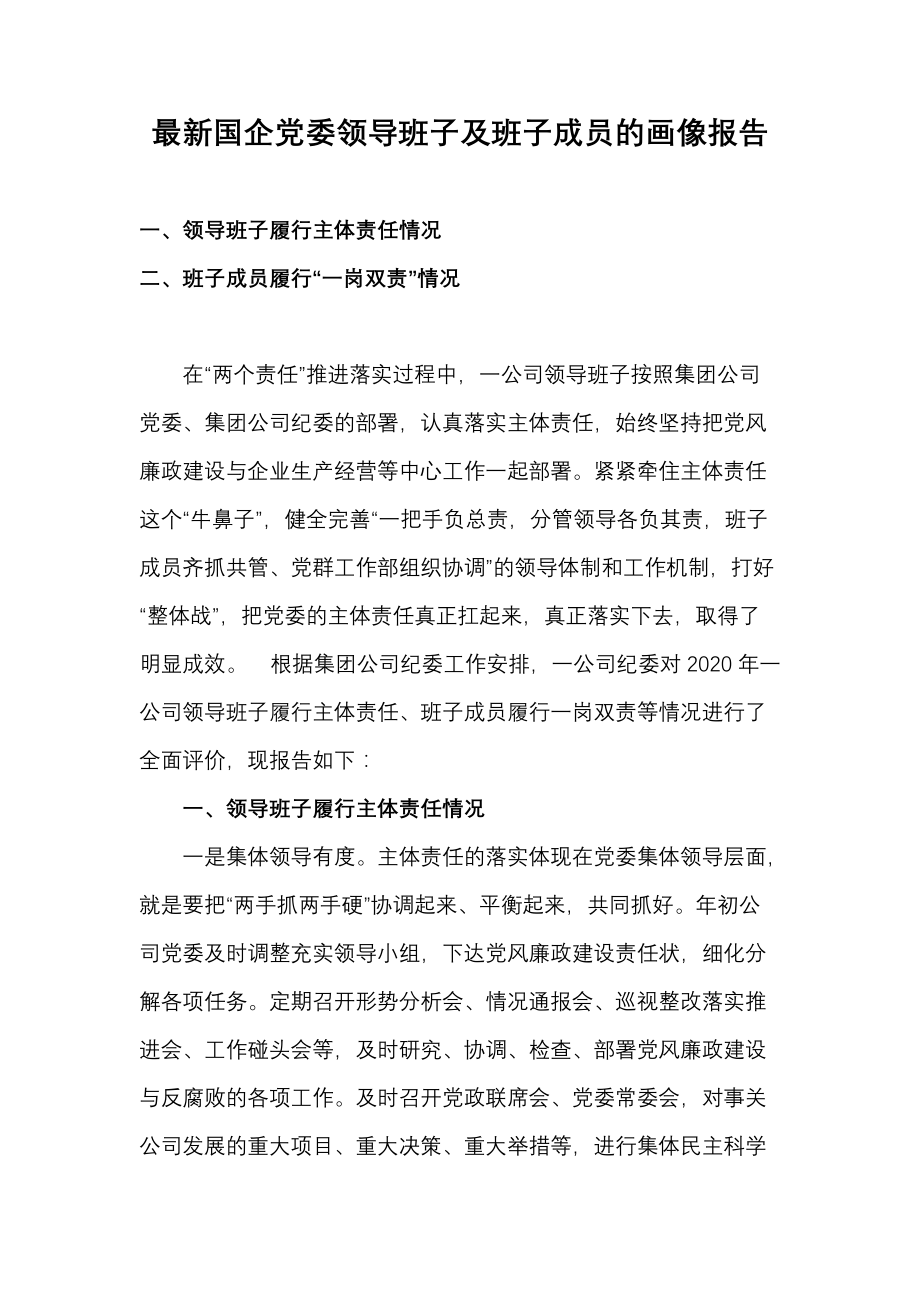 最新国企党委领导班子及班子成员的画像报告_第1页